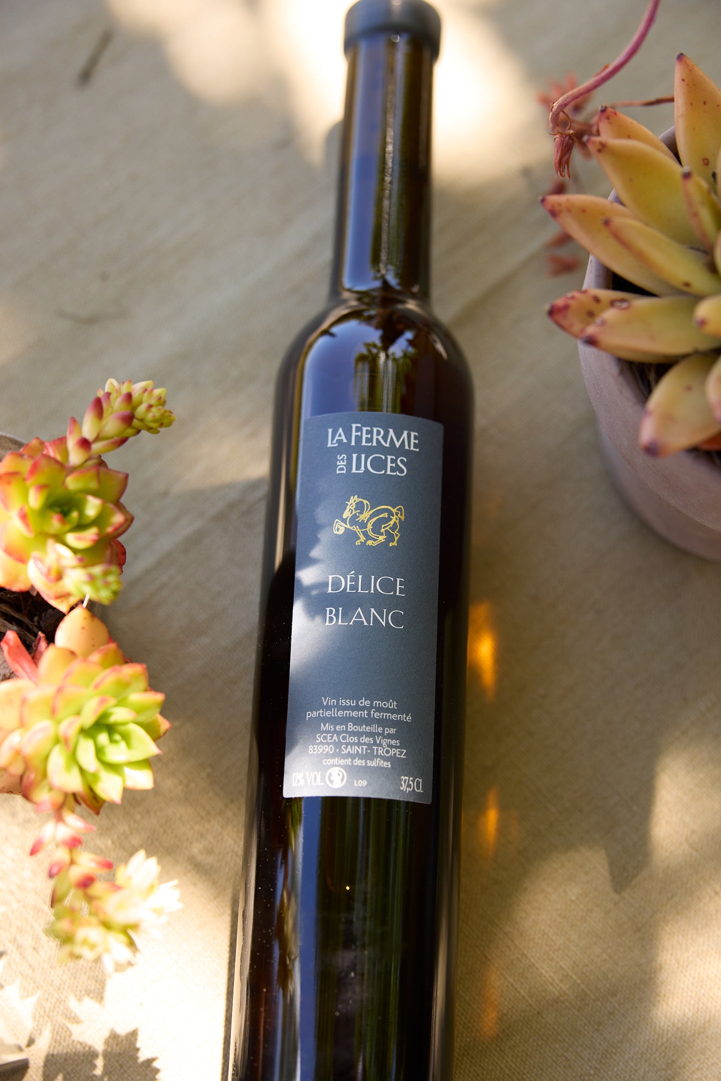 Vin blanc liquoreux "Délice Blanc"